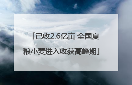 已收2.6亿亩 全国夏粮小麦进入收获高峰期